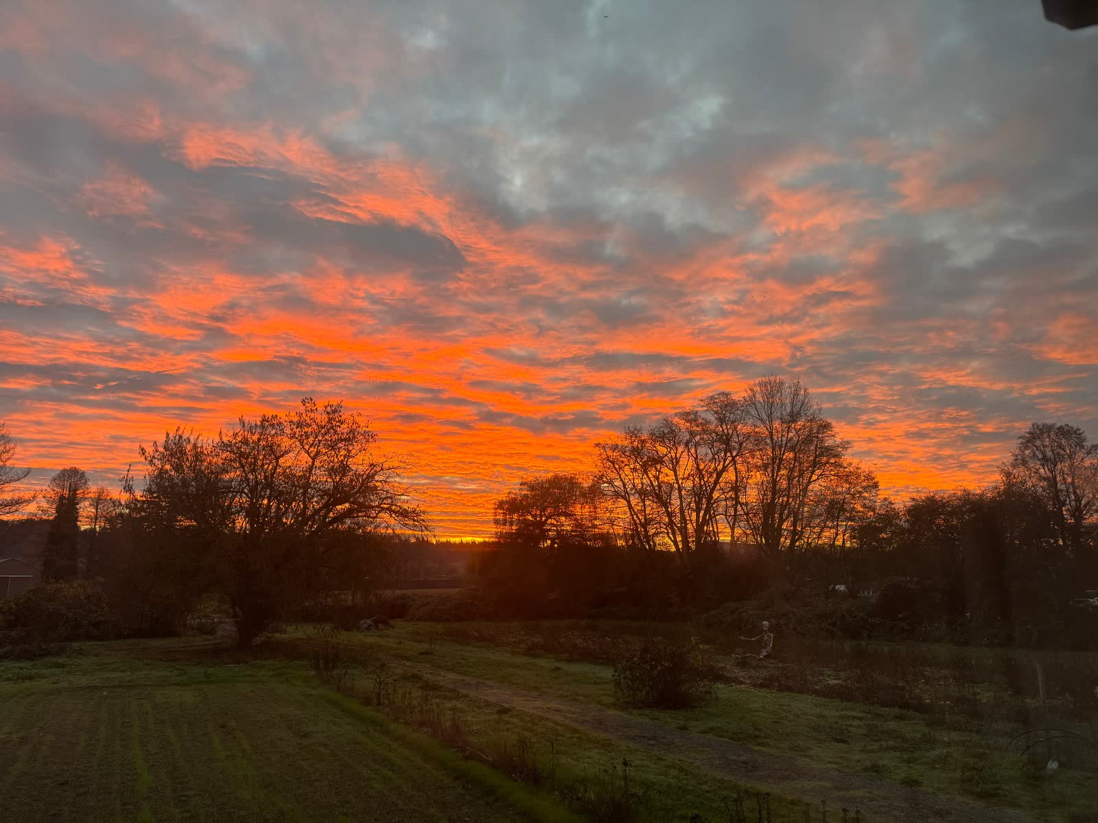 A blazing orange sunset over the trees at the edge of the farm